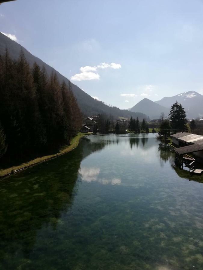 Wieselmuehle Forellenhof Grünau im Almtal Екстериор снимка