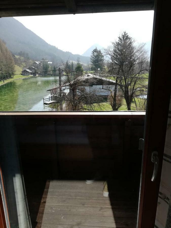 Wieselmuehle Forellenhof Grünau im Almtal Екстериор снимка